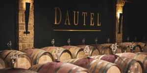 Listopadové tipy: Hvězdné Dautel