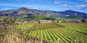 Březnové tipy: Terre Nere z Etny